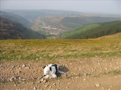 Above Abertillery